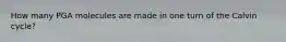 How many PGA molecules are made in one turn of the Calvin cycle?