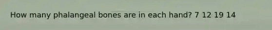How many phalangeal bones are in each hand? 7 12 19 14