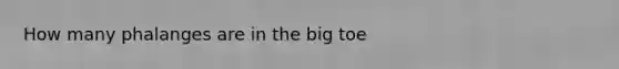 How many phalanges are in the big toe