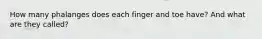 How many phalanges does each finger and toe have? And what are they called?