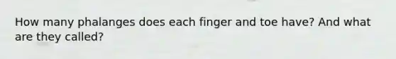 How many phalanges does each finger and toe have? And what are they called?