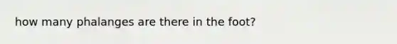 how many phalanges are there in the foot?