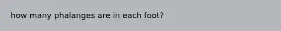 how many phalanges are in each foot?