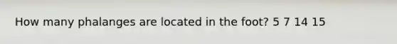 How many phalanges are located in the foot? 5 7 14 15