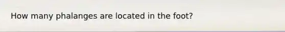How many phalanges are located in the foot?