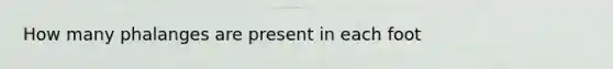 How many phalanges are present in each foot