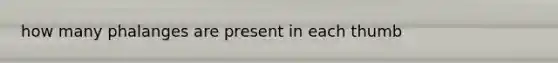how many phalanges are present in each thumb