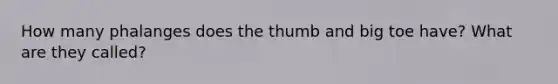 How many phalanges does the thumb and big toe have? What are they called?