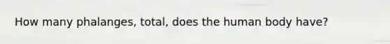 How many phalanges, total, does the human body have?