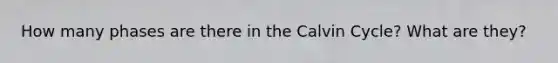 How many phases are there in the Calvin Cycle? What are they?