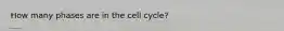 How many phases are in the cell cycle?