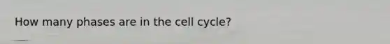 How many phases are in the cell cycle?