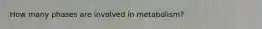 How many phases are involved in metabolism?