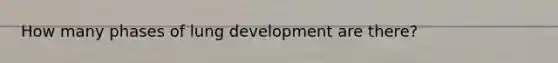 How many phases of lung development are there?