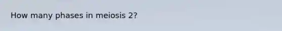 How many phases in meiosis 2?