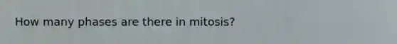 How many phases are there in mitosis?