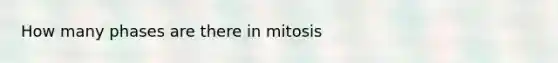 How many phases are there in mitosis