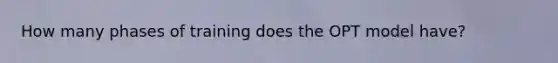 How many phases of training does the OPT model have?