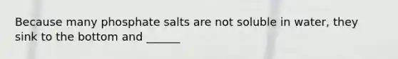 Because many phosphate salts are not soluble in water, they sink to the bottom and ______