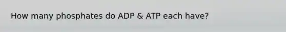 How many phosphates do ADP & ATP each have?