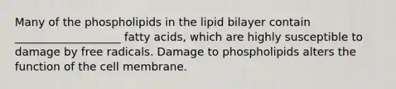 Many of the phospholipids in the lipid bilayer contain ___________________ fatty acids, which are highly susceptible to damage by free radicals. Damage to phospholipids alters the function of the cell membrane.