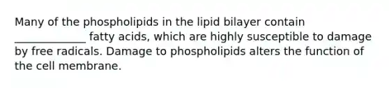 Many of the phospholipids in the lipid bilayer contain _____________ fatty acids, which are highly susceptible to damage by free radicals. Damage to phospholipids alters the function of the cell membrane.