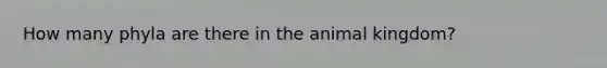 How many phyla are there in the animal kingdom?