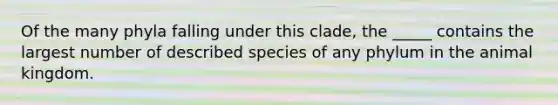 Of the many phyla falling under this clade, the _____ contains the largest number of described species of any phylum in the animal kingdom.