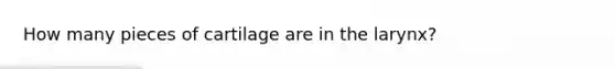 How many pieces of cartilage are in the larynx?