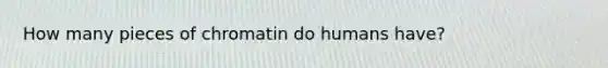 How many pieces of chromatin do humans have?