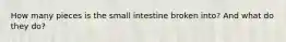 How many pieces is the small intestine broken into? And what do they do?