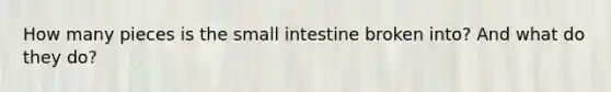 How many pieces is the small intestine broken into? And what do they do?