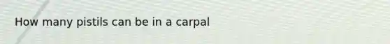 How many pistils can be in a carpal