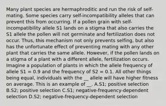 Many plant species are hermaphroditic and run the risk of self-mating. Some species carry self-incompatibility alleles that can prevent this from occurring. If a pollen grain with self-incompatibility allele S1 lands on a stigma that also carries the S1 allele the pollen will not germinate and fertilization does not occur. Thus, this mechanism not only prevents selfing, but also has the unfortunate effect of preventing mating with any other plant that carries the same allele. However, if the pollen lands on a stigma of a plant with a different allele, fertilization occurs. Imagine a population of plants in which the allele frequency of allele S1 = 0.9 and the frequency of S2 = 0.1. All other things being equal, individuals with the __ allele will have higher fitness on average. This is an example of __. A.S1; positive selection B.S2; positive selection C.S1; negative-frequency-dependent selection D.S2; negative-frequency-dependent selection