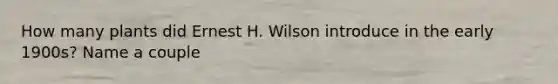 How many plants did Ernest H. Wilson introduce in the early 1900s? Name a couple