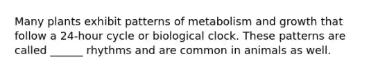 Many plants exhibit patterns of metabolism and growth that follow a 24-hour cycle or biological clock. These patterns are called ______ rhythms and are common in animals as well.