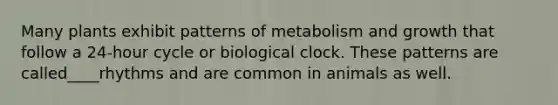 Many plants exhibit patterns of metabolism and growth that follow a 24-hour cycle or biological clock. These patterns are called____rhythms and are common in animals as well.