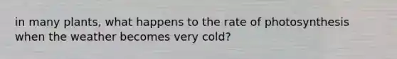 in many plants, what happens to the rate of photosynthesis when the weather becomes very cold?