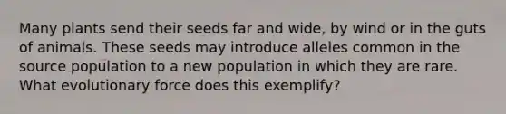 Many plants send their seeds far and wide, by wind or in the guts of animals. These seeds may introduce alleles common in the source population to a new population in which they are rare. What evolutionary force does this exemplify?