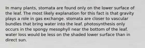 In many plants, stomata are found only on the lower surface of the leaf. The most likely explanation for this fact is that gravity plays a role in gas exchange. stomata are closer to vascular bundles that bring water into the leaf. photosynthesis only occurs in the spongy mesophyll near the bottom of the leaf. water loss would be less on the shaded lower surface than in direct sun.