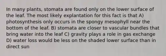 In many plants, stomata are found only on the lower surface of the leaf. The most likely explantation for this fact is that A) photosynthesis only occurs in the spongy mesophyll near the bottom of the leaf. B) stomata are closer to vascular bundles that bring water into the leaf C) gravity plays a role in <a href='https://www.questionai.com/knowledge/kU8LNOksTA-gas-exchange' class='anchor-knowledge'>gas exchange</a> D) water loss would be less on the shaded lower surface than in direct sun