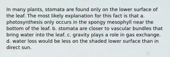 In many plants, stomata are found only on the lower surface of the leaf. The most likely explanation for this fact is that a. photosynthesis only occurs in the spongy mesophyll near the bottom of the leaf. b. stomata are closer to vascular bundles that bring water into the leaf. c. gravity plays a role in gas exchange. d. water loss would be less on the shaded lower surface than in direct sun.