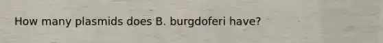 How many plasmids does B. burgdoferi have?