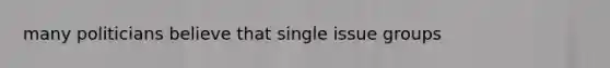 many politicians believe that single issue groups