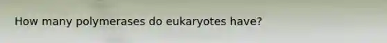 How many polymerases do eukaryotes have?