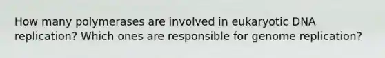 How many polymerases are involved in eukaryotic DNA replication? Which ones are responsible for genome replication?