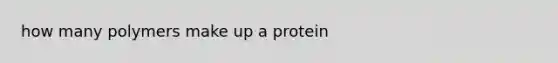 how many polymers make up a protein