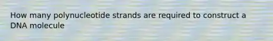 How many polynucleotide strands are required to construct a DNA molecule