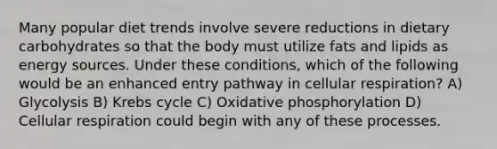 Many popular diet trends involve severe reductions in dietary carbohydrates so that the body must utilize fats and lipids as energy sources. Under these conditions, which of the following would be an enhanced entry pathway in cellular respiration? A) Glycolysis B) Krebs cycle C) Oxidative phosphorylation D) Cellular respiration could begin with any of these processes.