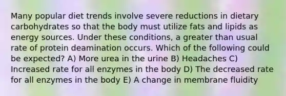 Many popular diet trends involve severe reductions in dietary carbohydrates so that the body must utilize fats and lipids as energy sources. Under these conditions, a greater than usual rate of protein deamination occurs. Which of the following could be expected? A) More urea in the urine B) Headaches C) Increased rate for all enzymes in the body D) The decreased rate for all enzymes in the body E) A change in membrane fluidity